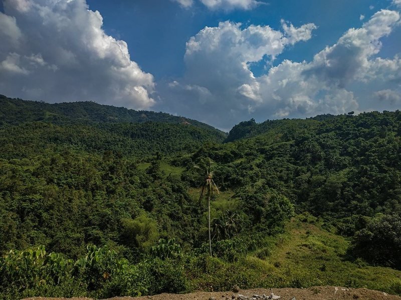Forested mountain ridge landscape around Foressa Mountain Town