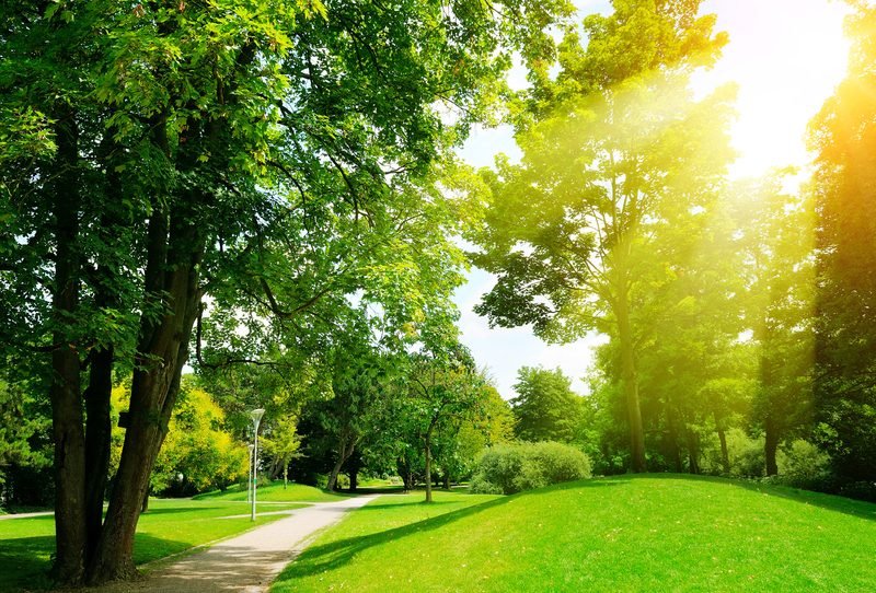 The one-hectare linear park that Parkside Premium lots open onto at Foressa Mountain Town